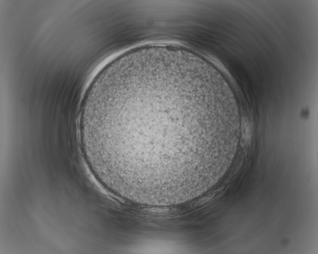 X0000115080959200912081208