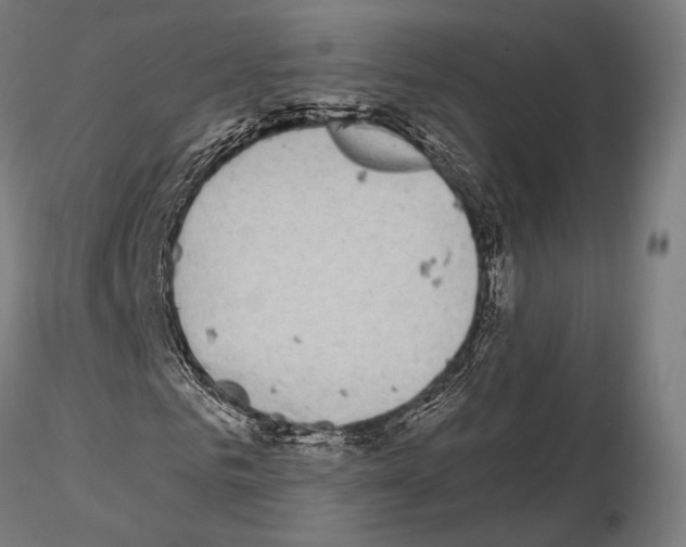 X0000115080961200912081208