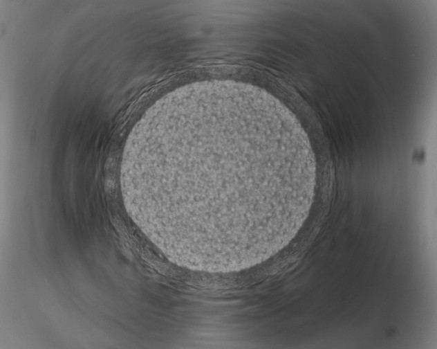 X0000115080962200912081208