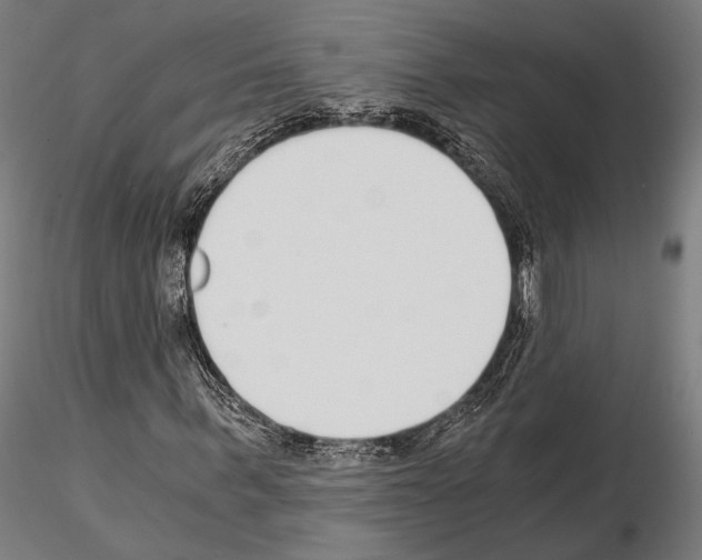 X0000115080963200912081208