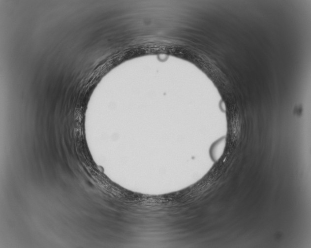 X0000115080964200912081208