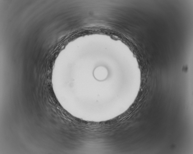 X0000115080965200912081208