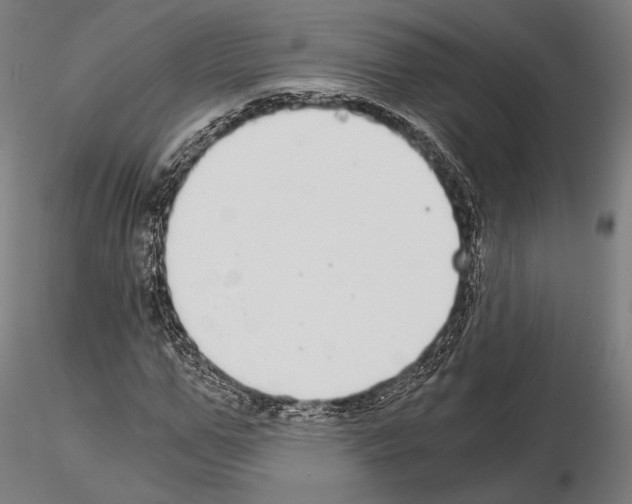 X0000115080967200912081208