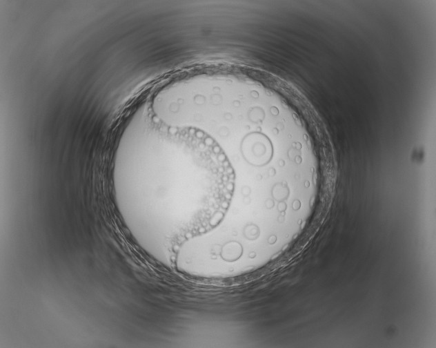 X0000115080968200912081208