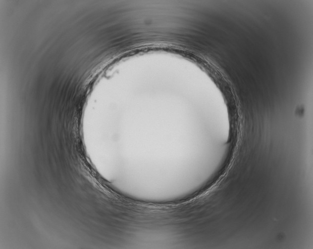 X0000115080969200912081207