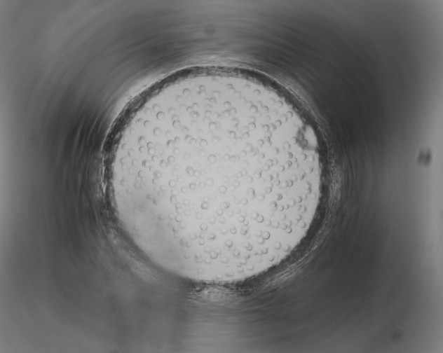 X0000115080974200912081207