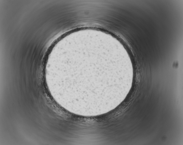 X0000115080975200912081207