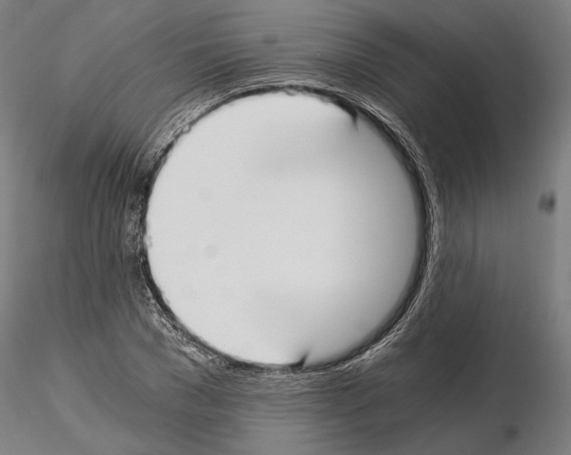 X0000115080977200912081207