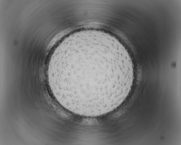 X0000115080978200912081207