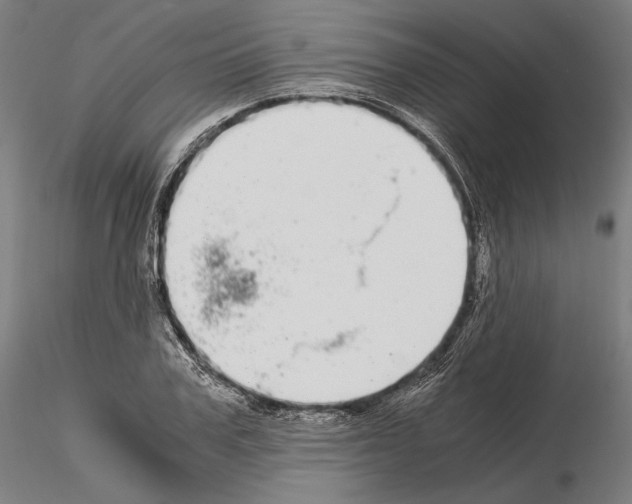 X0000115080979200912081207