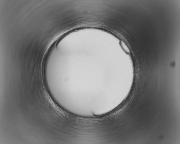 X0000115080981200912081207