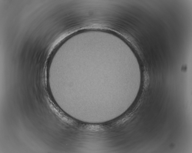 X0000115080982200912081207