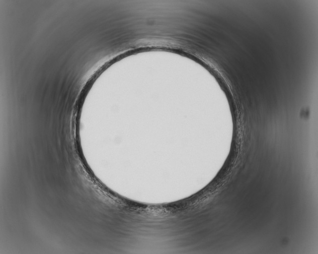 X0000115080983200912081207