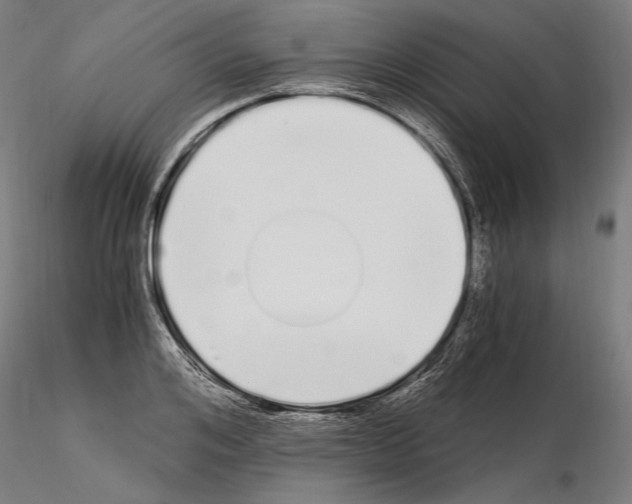 X0000115080984200912081207