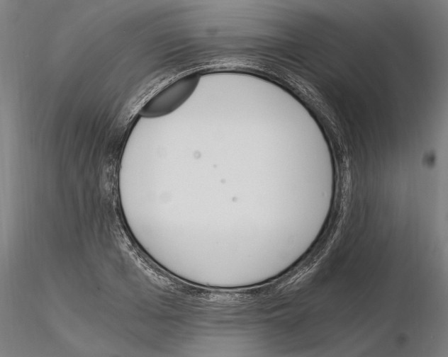 X0000115080985200912081207