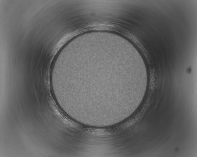 X0000115080986200912081207