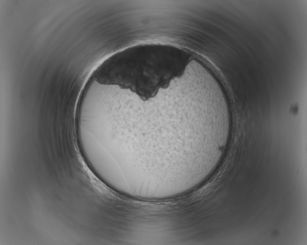 X0000115080988200912081207