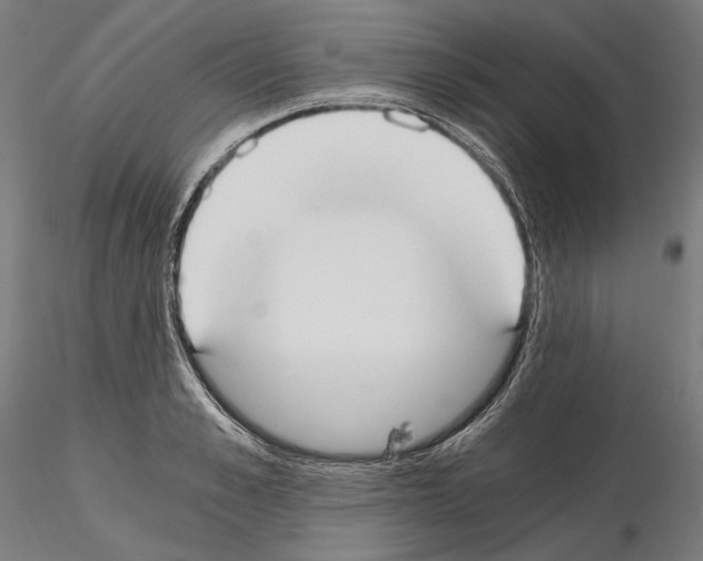 X0000115080989200912081207