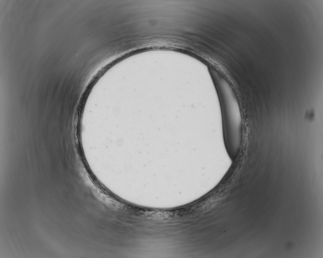 X0000115080991200912081207