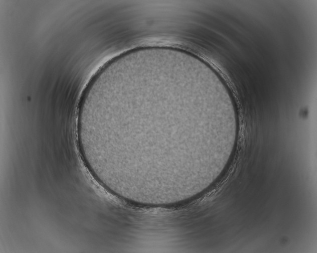 X0000115080992200912081207