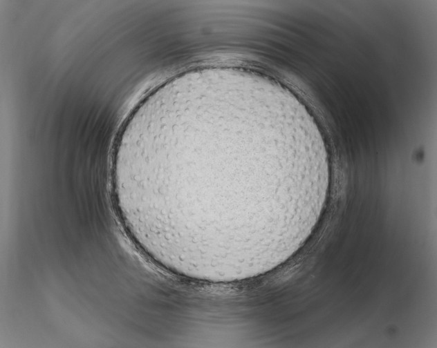 X0000115080994200912081207