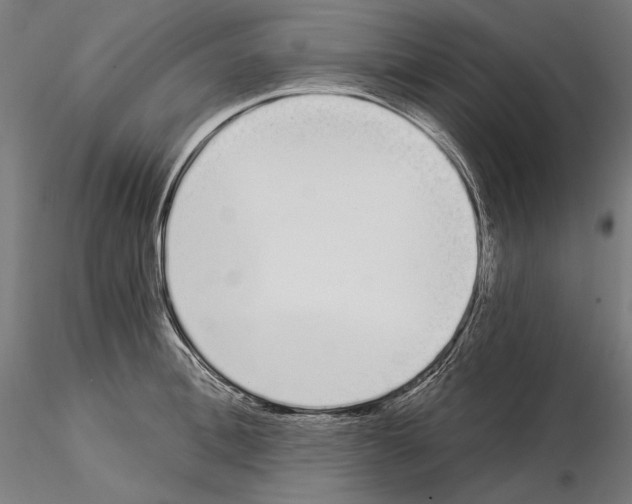 X0000115080996200912081207