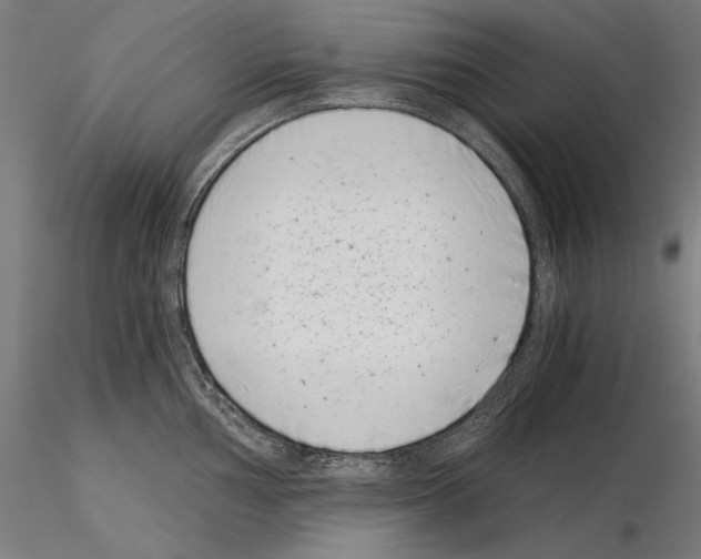 X0000115081002200912081207