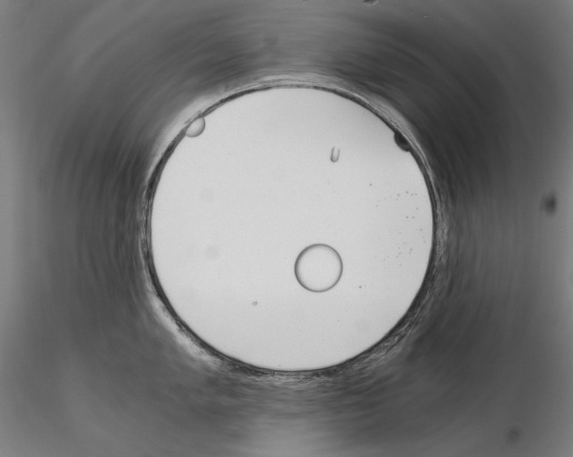 X0000115081005200912081207