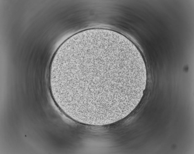 X0000115081007200912081207