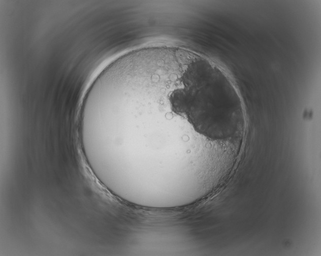 X0000115081008200912081207