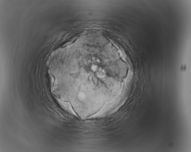 X0000115081009200912081206