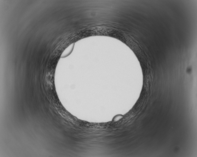 X0000115081010200912081206