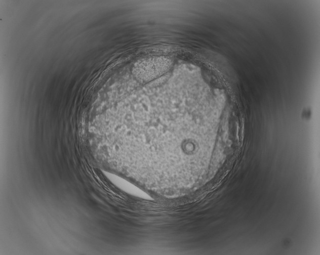 X0000115081011200912081206