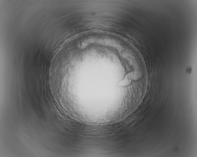 X0000115081012200912081206