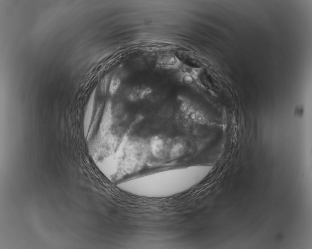 X0000115081013200912081206