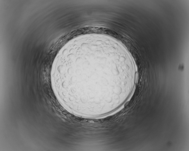 X0000115081014200912081206