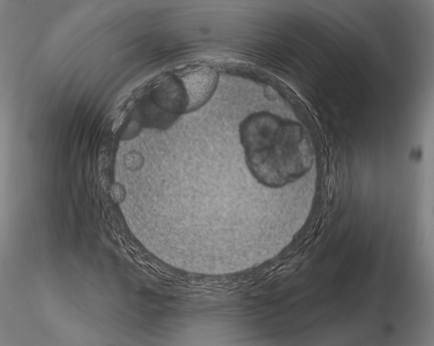 X0000115081016200912081206