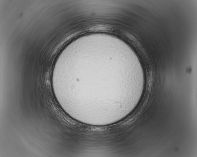 X0000115081017200912081206