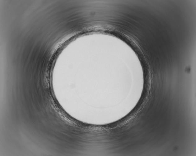 X0000115081018200912081206