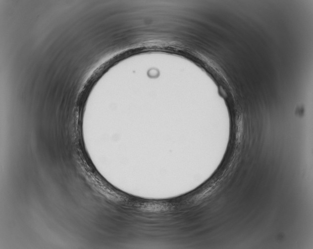 X0000115081021200912081206