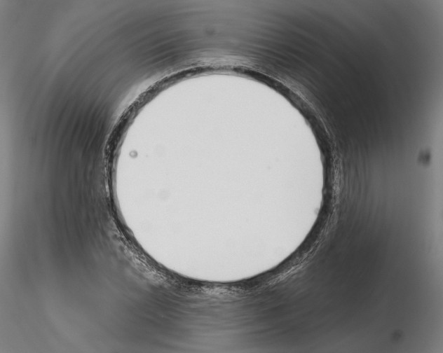 X0000115081022200912081206