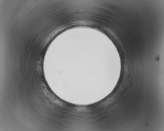 X0000115081025200912081206