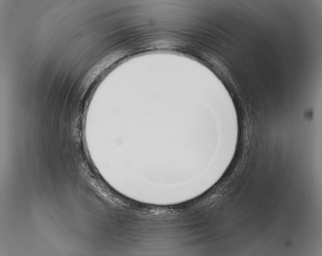 X0000115081026200912081206