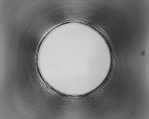 X0000115081028200912081206