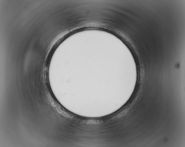 X0000115081029200912081206