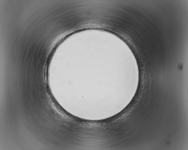 X0000115081030200912081206