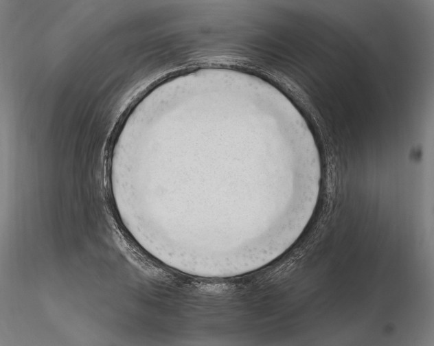 X0000115081031200912081207