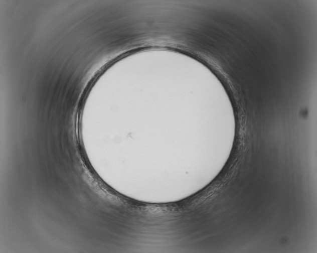 X0000115081032200912081207