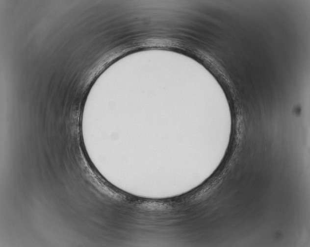 X0000115081033200912081207