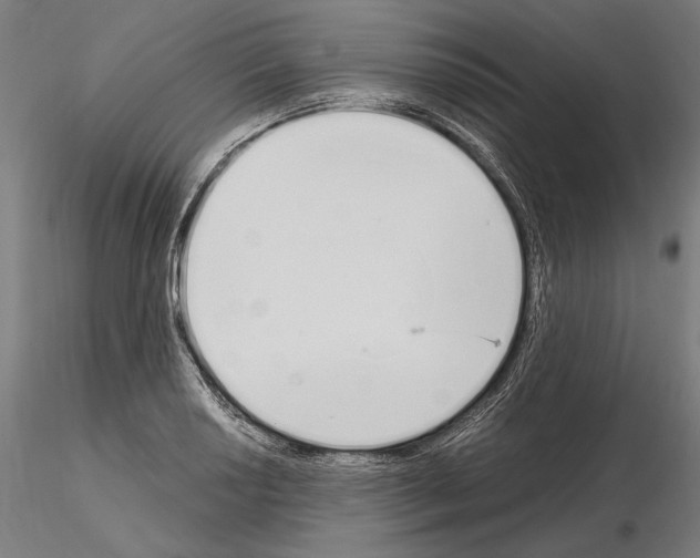 X0000115081034200912081207